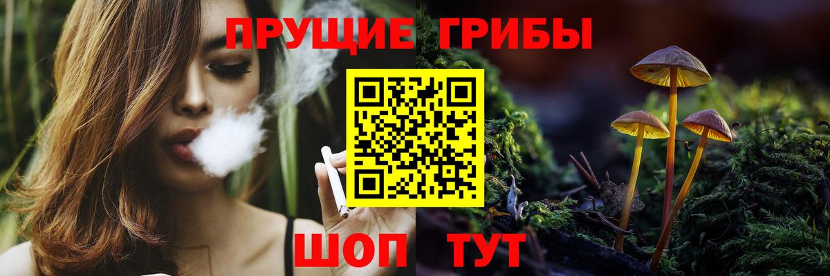 Псилоцибиновые грибы мицелий  Псилоцибиновые грибы Psilocybe  Сланцы  Вход с VPN 